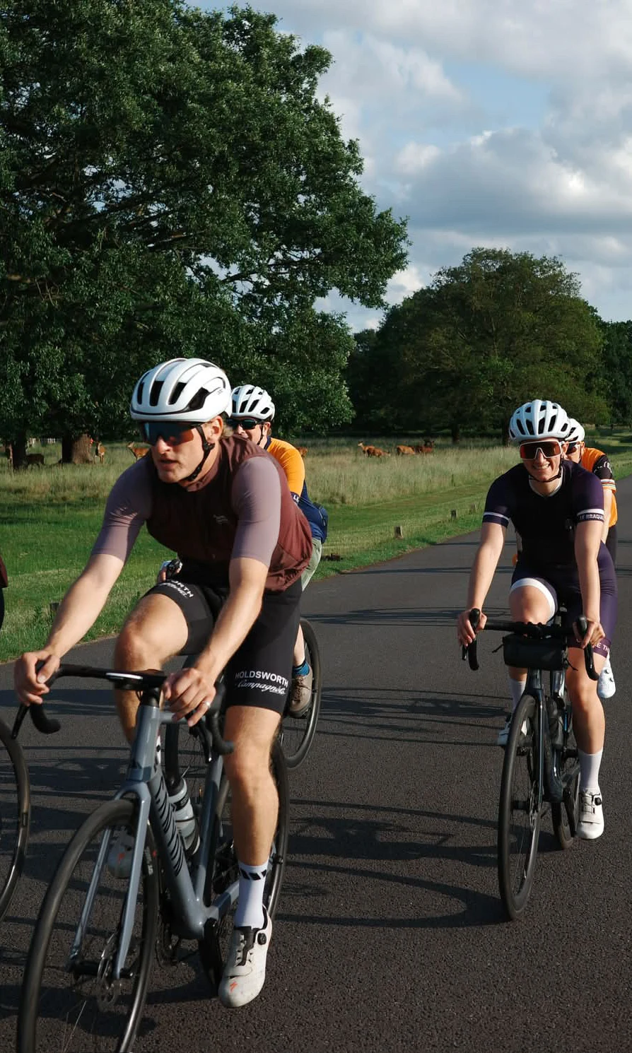 A group of cyclists riding together along a park road, with deer grazing behind them